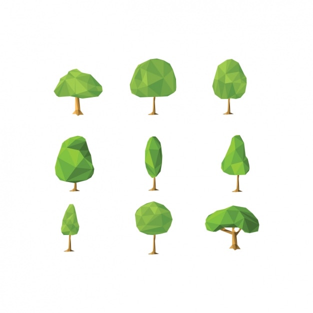 Polygonal trees collection