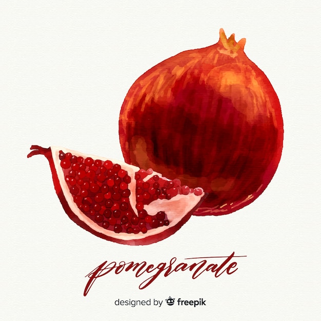 Free Vector pomegranate