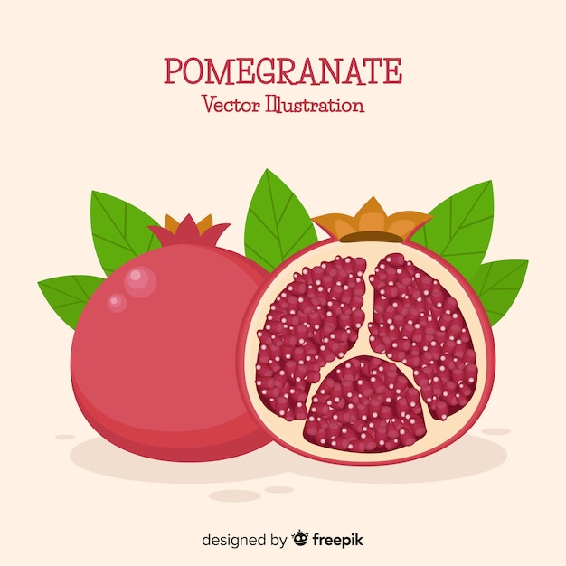 Free Vector pomegranates