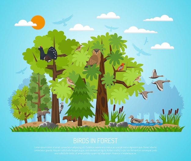 Poster Of Birds In Forest