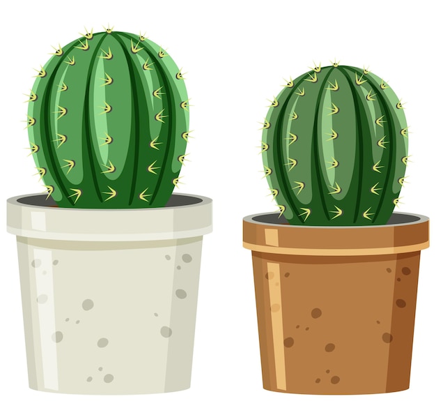 Free Vector pot of cactus on white background