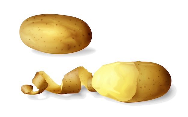 Free Vector potato peeled 3d of isolated realistic potato vegetable whole and half peeled