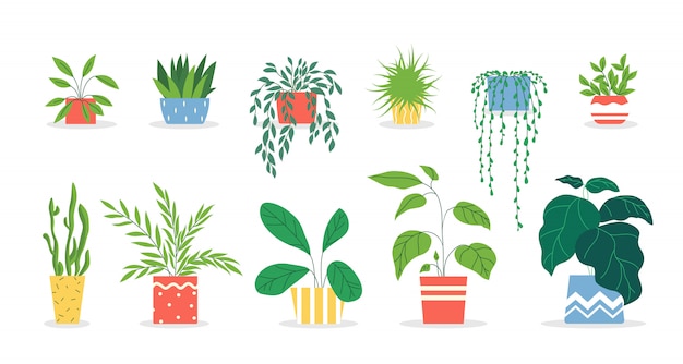 Potted plants set