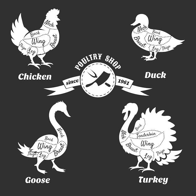 Poultry cuts poster.