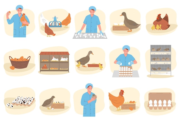 Free vector poultry eggs production flat set with domestic birds and female factory worker isolated vector illustration