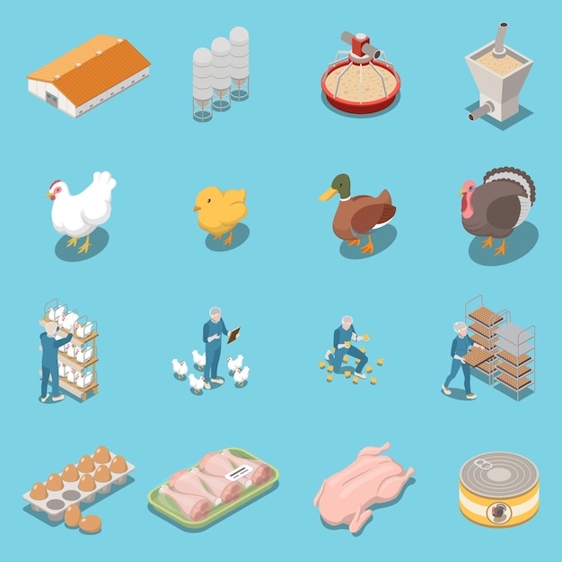 Free vector poultry farm isometric icons set of equipment for feeding hen duck turkey trays with chicken legs and eggs and canned food vector illustration