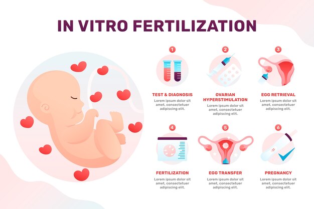 Pregnancy gradient ivf infographic