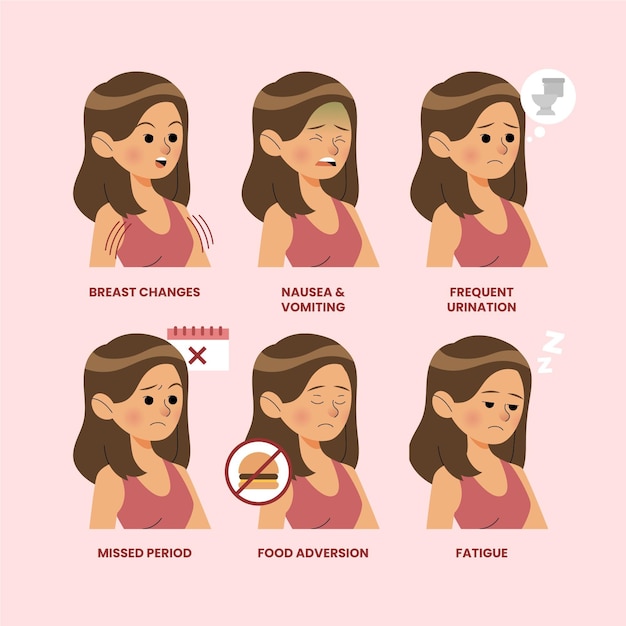 Pregnancy symptoms illustration