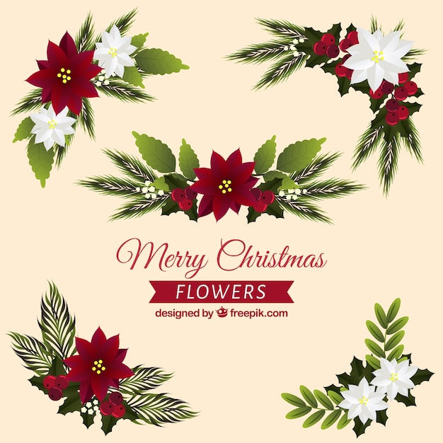 Free vector pretty christmas flower ornaments