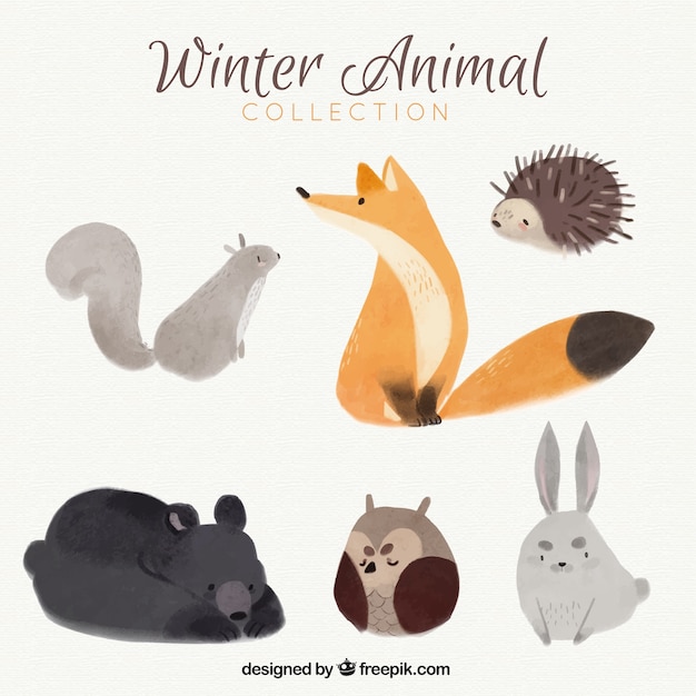 Free Vector pretty fox with other watercolor forest animals