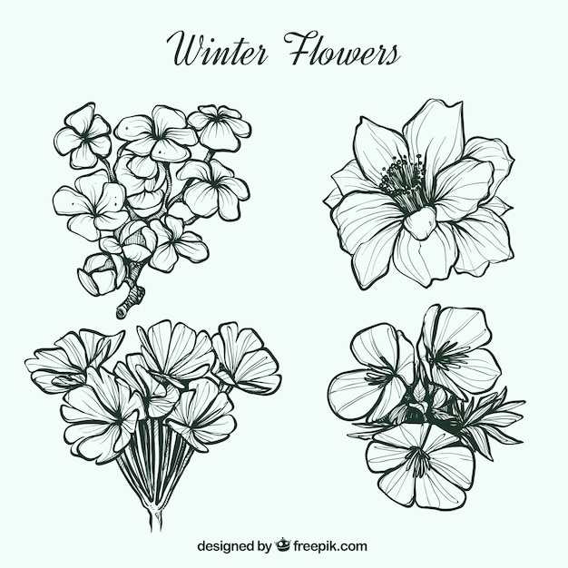 Pretty hand-drawn winter flowers