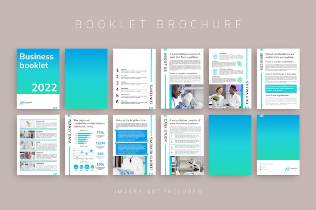 Professional gradient business booklet brochure template