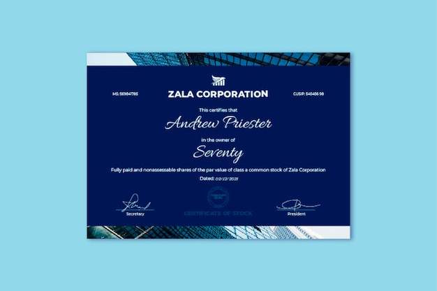 Professional simple zala stock certificate