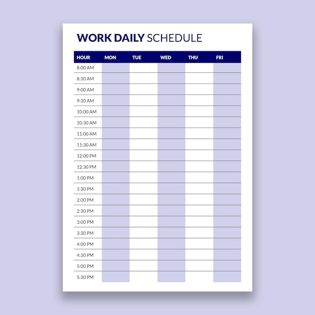 Professional work daily schedule