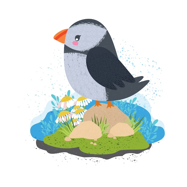 Free Vector puffin. beautiful cute bird