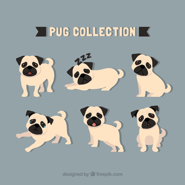 Free Vector pug collection with classic style