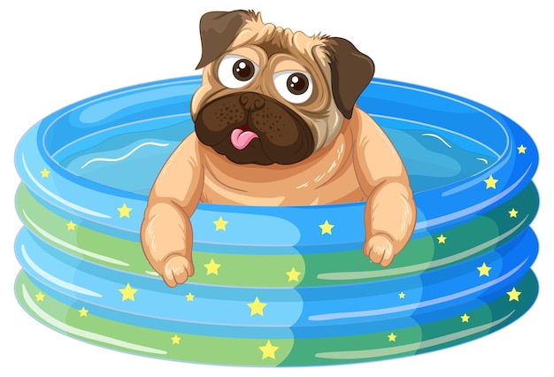 A pug dog in inflatable pool cartoon