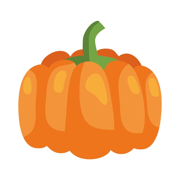 Free Vector pumpkin fresh vegetable icon