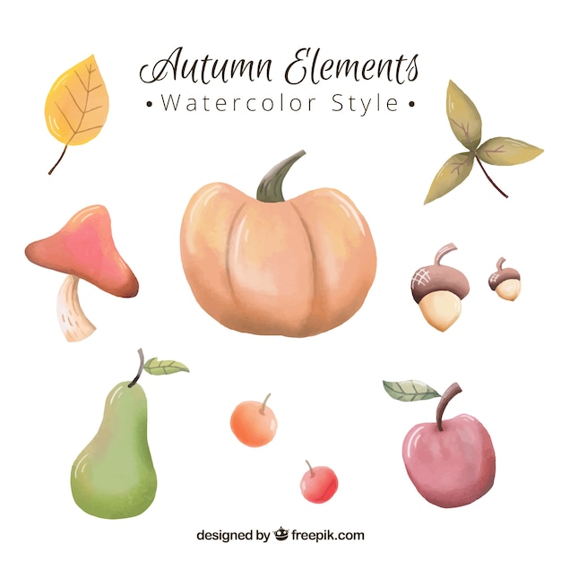 Pumpkin and other natural watercolor elements