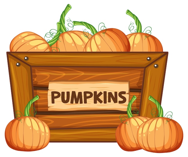 Free Vector pumpkins in wooden box with pumpkins sign banner