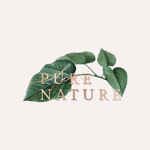 Pure nature wallpaper