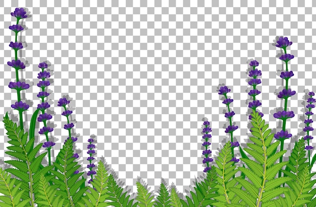 Free Vector purple flowers field on transparent background