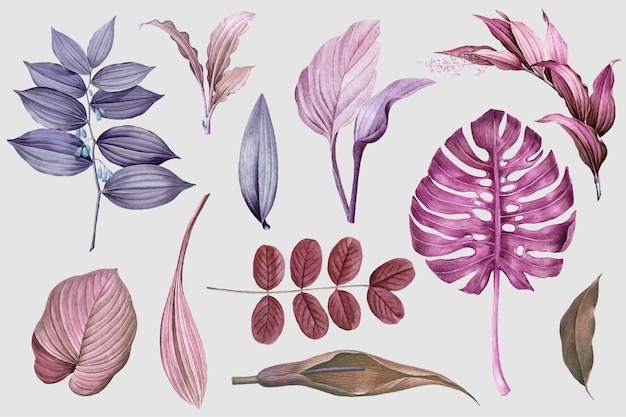 Purple leaves collection design vector