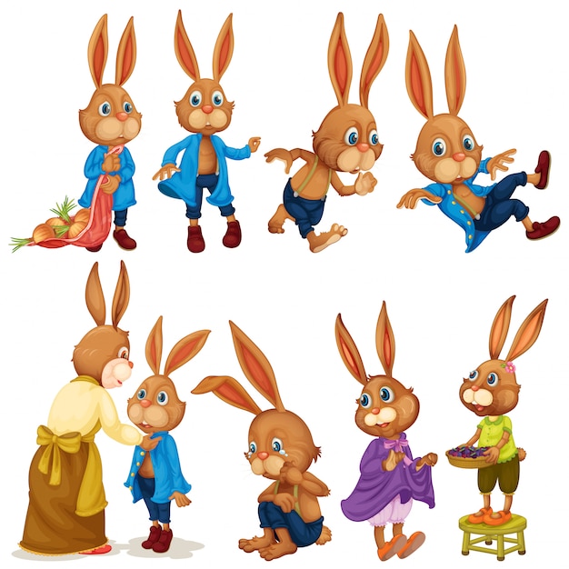 Free Vector rabbit set