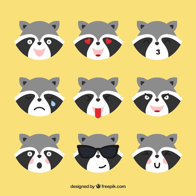 Raccoon emoticons with different facial expressions