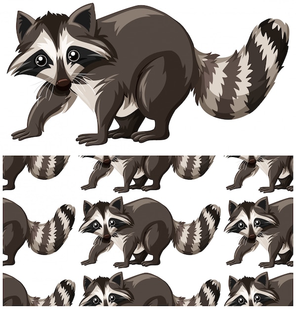 Free Vector raccoon seamless pattern isolated on white