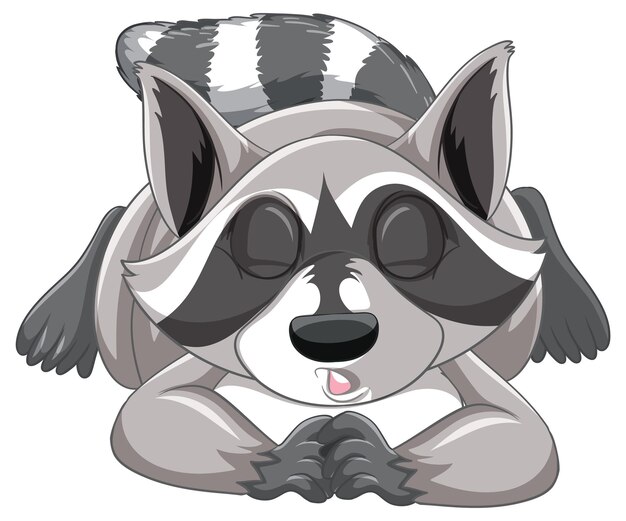 Raccoon sleeping on white background