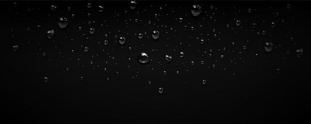 Free Vector rain water drop bubble vector black background