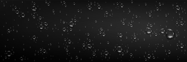 Free Vector rain water drops on glass smooth black surface