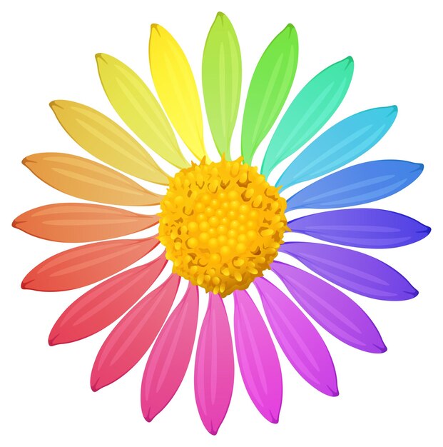 A rainbow colored flower