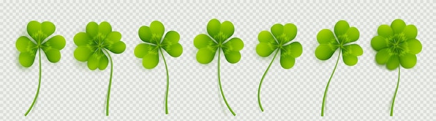 Free Vector realistic 3d clover leaves set