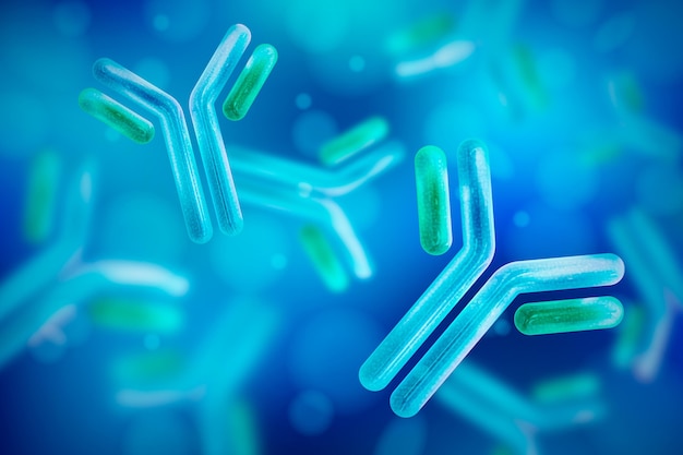 Realistic antibody immunoglobulin molecule