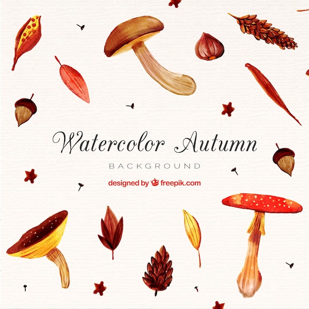 Free Vector realistic autumn background