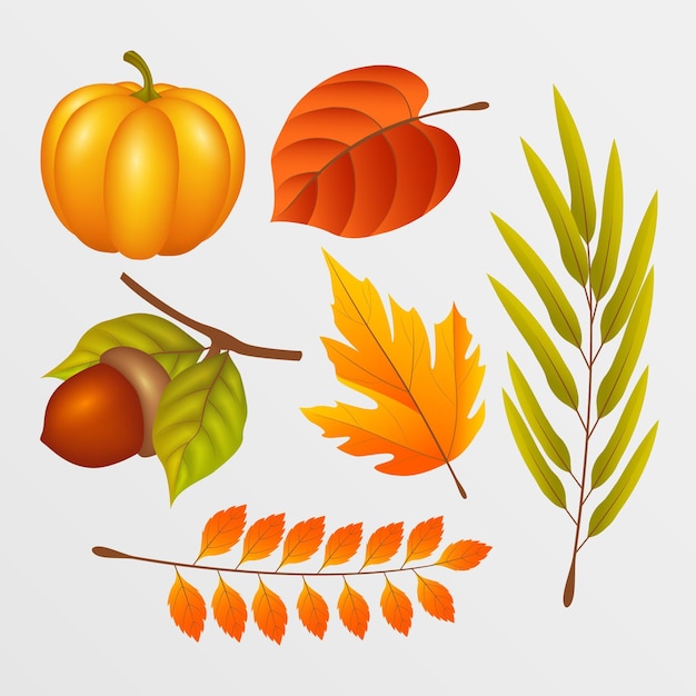 Free Vector realistic autumn elements collection