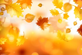 fall leaves backgrounds