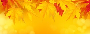 Fall Facebook Covers