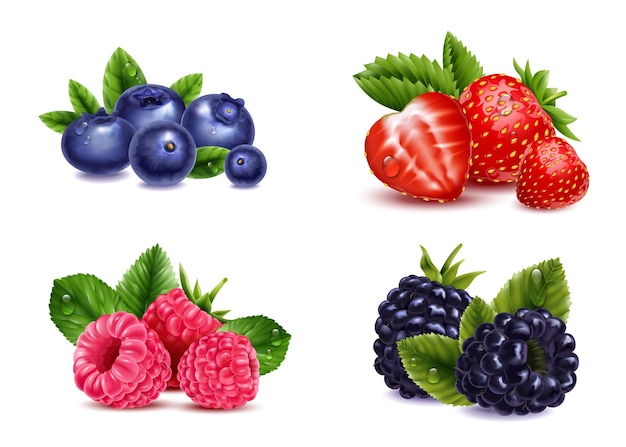 Free vector realistic berries transparent set with isolated images of raspberry strawberry blackberry and cranberry berries with leaves vector illustration