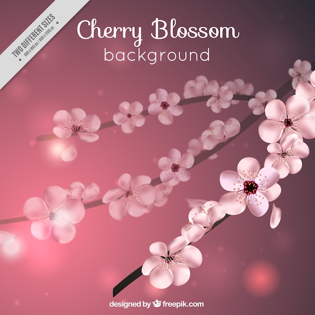 Free Vector realistic bokeh background of cherry blossom