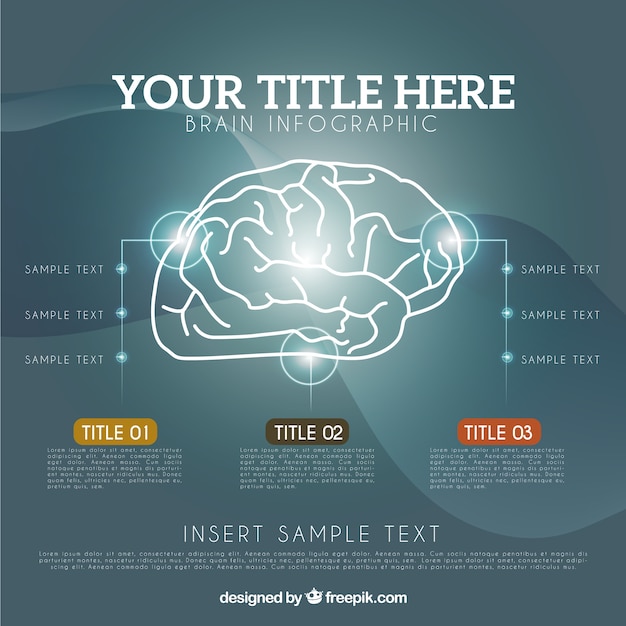 Free Vector realistic brain infographic template