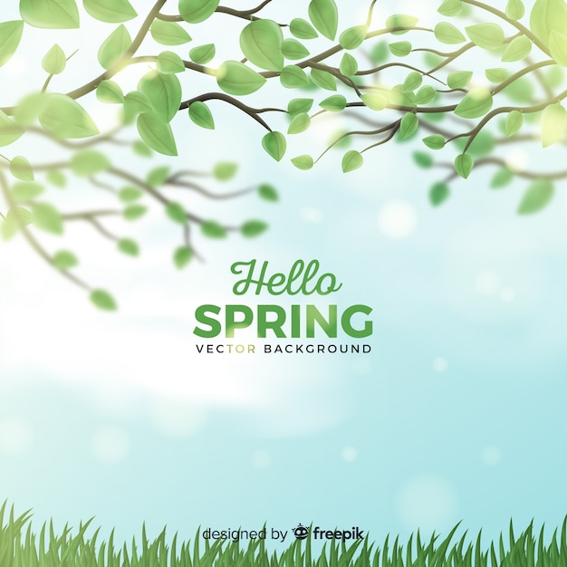 Realistic branches spring background