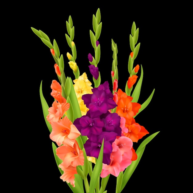 Free Vector realistic bunch of orange pink yellow and purple gladiolus flowers on black background vector illustration