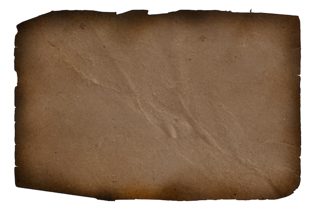 Free Vector realistic burned paper texture