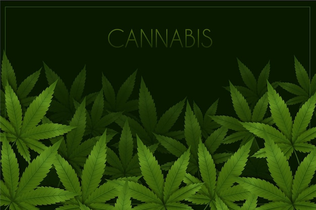 Realistic cannabis leaf background