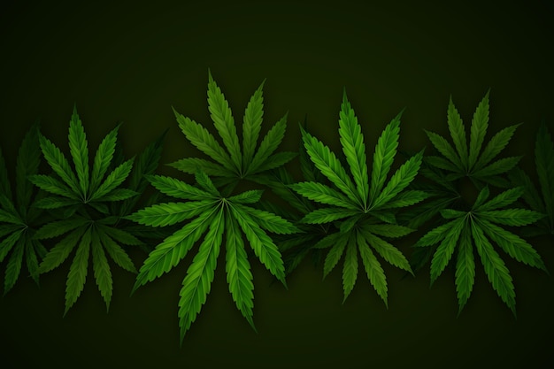 Free Vector realistic cannabis leaf background