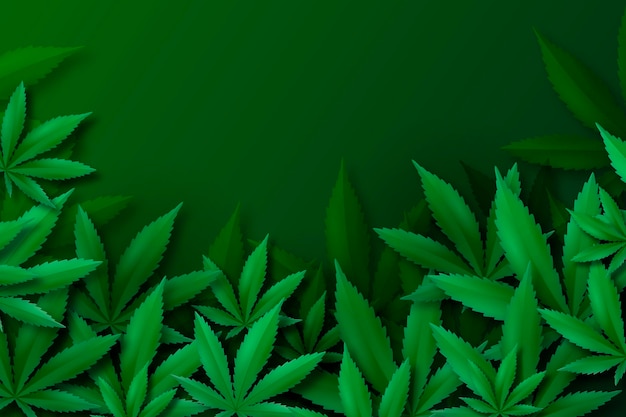 Realistic cannabis leaf background