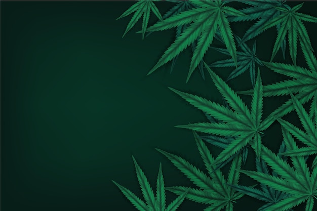 Free Vector realistic cannabis leaf background